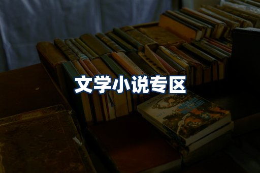 文学小说PDF展示